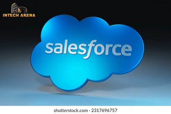 SalesForce: Power User